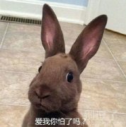 爱我你怕了吗?? 爱我你怕了吗??