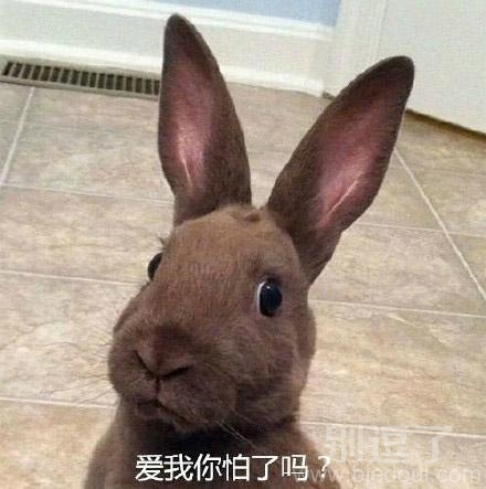 爱我你怕了吗?? 爱我你怕了吗??