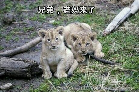 我的老妈来了。。 我的老妈来了。。