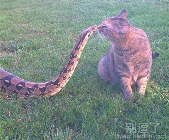 亲亲，这个有点危险吧