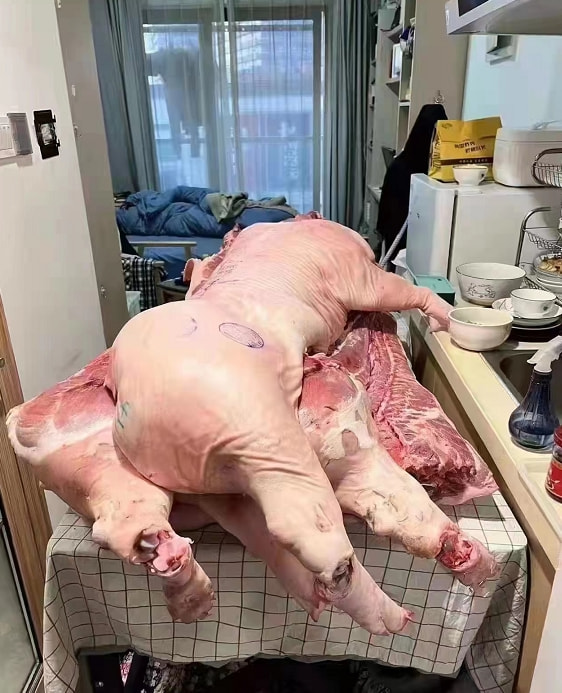 轻松一刻:转角不一定遇到爱情,可能是疫情 轻松一刻:转角不一定遇到爱情,可能是疫情