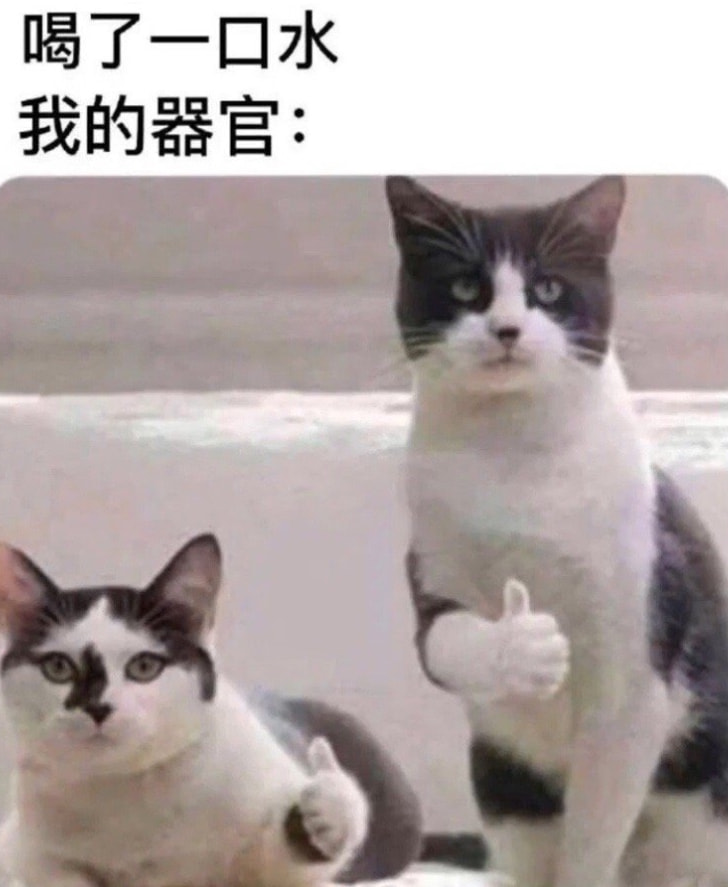 轻松一刻:转角不一定遇到爱情,可能是疫情 轻松一刻:转角不一定遇到爱情,可能是疫情