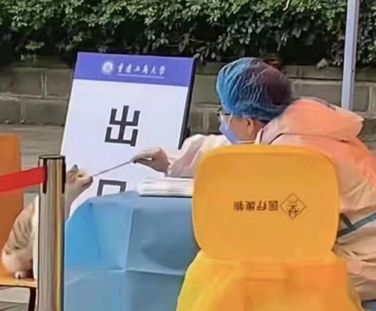 轻松一刻:转角不一定遇到爱情,可能是疫情 轻松一刻:转角不一定遇到爱情,可能是疫情