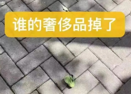 轻松一刻:转角不一定遇到爱情,可能是疫情 轻松一刻:转角不一定遇到爱情,可能是疫情