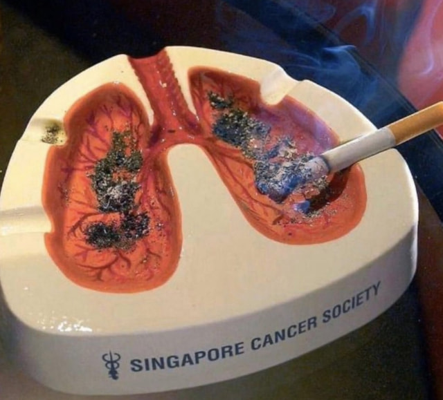 轻松一刻:转角不一定遇到爱情,可能是疫情 轻松一刻:转角不一定遇到爱情,可能是疫情