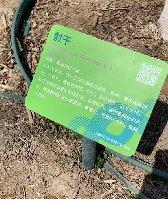 女友穿这件衣服出门是什么意思?不该露的地方全露了,我听见雨滴落在青青草地... 女友穿这件衣服出门是什么意思?不该露的地方全露了,我听见雨滴落在青青草地...