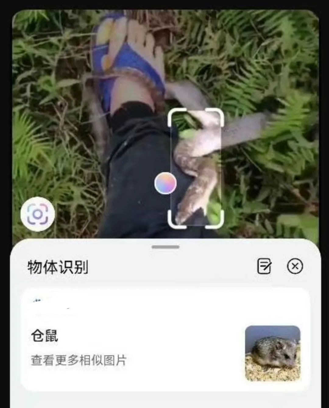 天啊!今天这话是真的,千万别低头不然会.... 天啊!今天这话是真的,千万别低头不然会....
