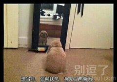 每逢佳节胖三斤! 每逢佳节胖三斤!