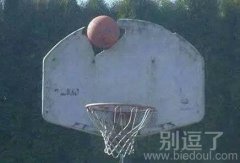 这投篮技术真不错 这投篮技术真不错