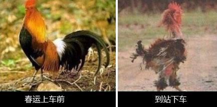 春运坐火车搞笑图片 春运坐火车搞笑图片