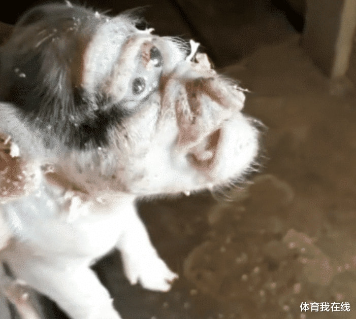 “老师上课,告诉我们要相信科学,这怎么理解啊?”哈哈哈 “老师上课,告诉我们要相信科学,这怎么理解啊?”哈哈哈