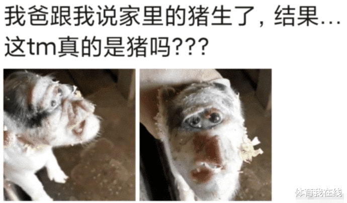 “老师上课,告诉我们要相信科学,这怎么理解啊?”哈哈哈 “老师上课,告诉我们要相信科学,这怎么理解啊?”哈哈哈