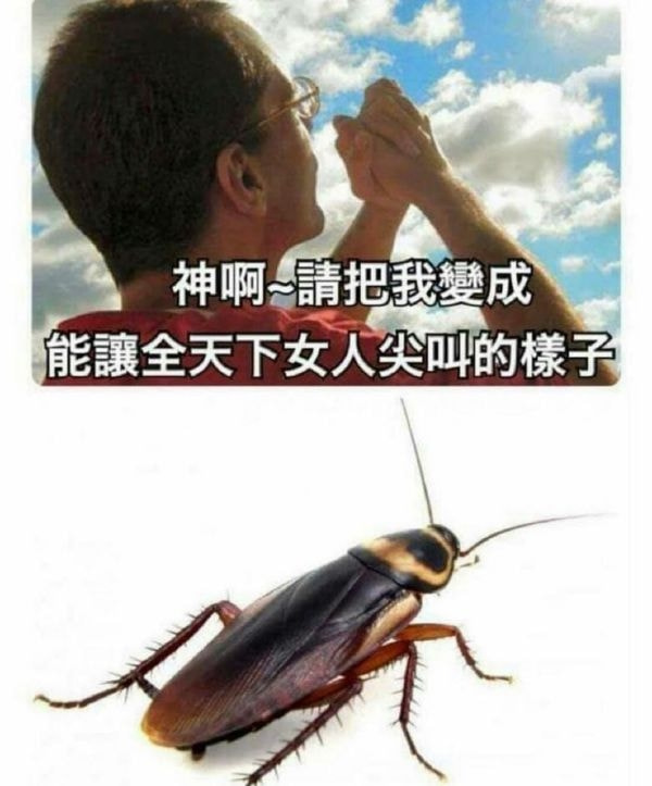 轻松一刻:懒是人的天性,而我把它释放到了极致 轻松一刻:懒是人的天性,而我把它释放到了极致