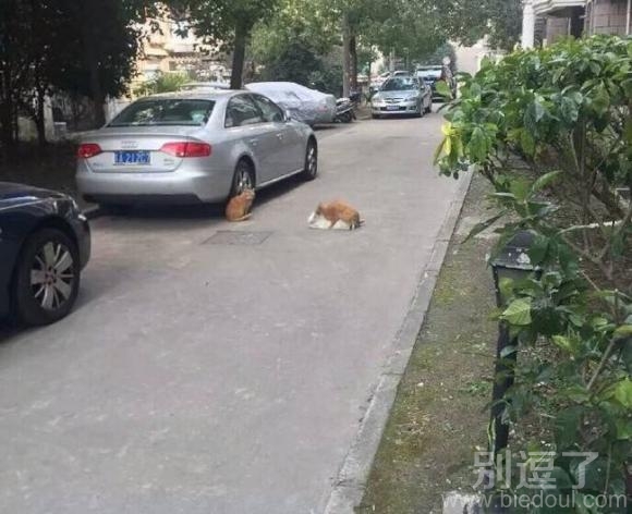 不知不觉就唱出来了,我应该在车底