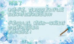 为什么狗在坐车时会把头探出窗外