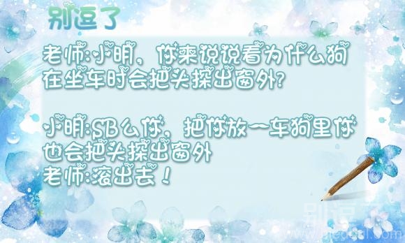 为什么狗在坐车时会把头探出窗外