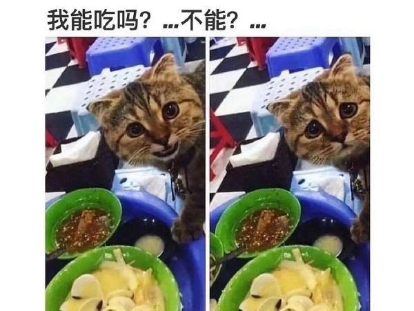 轻松一刻:孤男寡女只在车里约会?多少有点含蓄了 轻松一刻:孤男寡女只在车里约会?多少有点含蓄了