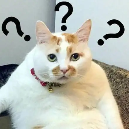 轻松一刻:孤男寡女只在车里约会?多少有点含蓄了 轻松一刻:孤男寡女只在车里约会?多少有点含蓄了
