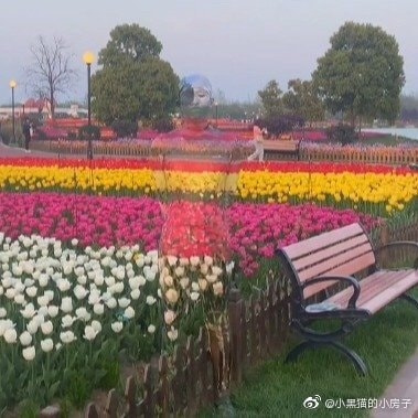 轻松一刻:孤男寡女只在车里约会?多少有点含蓄了 轻松一刻:孤男寡女只在车里约会?多少有点含蓄了