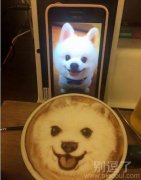 我家的可爱狗狗。。 我家的可爱狗狗。。