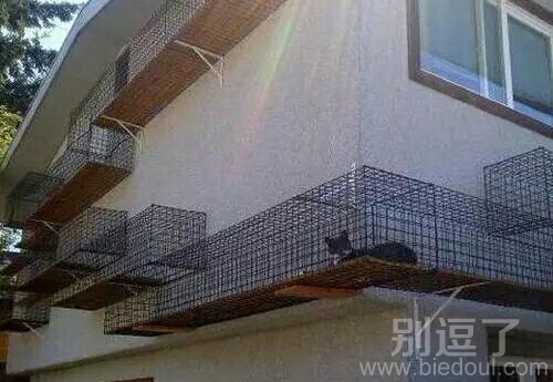 这条路通往哪里呢 这条路通往哪里呢