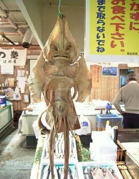 外星人来地球就是这结果 外星人来地球就是这结果