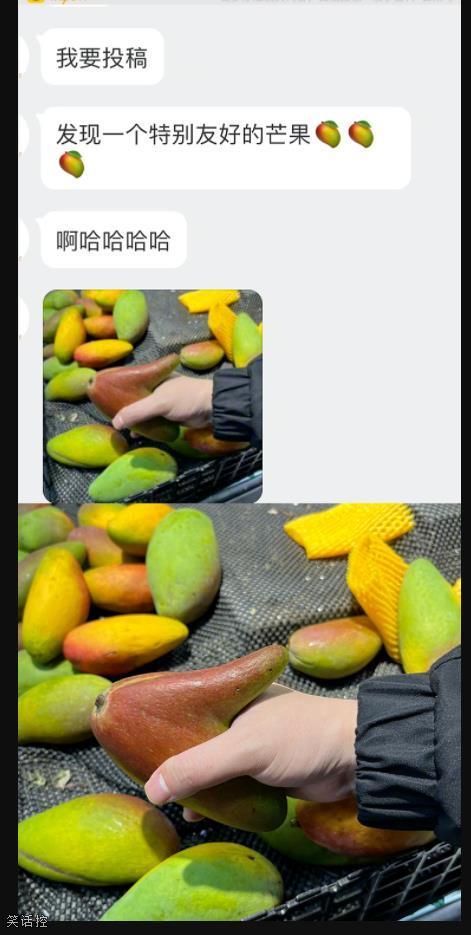 交个朋友吧