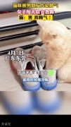 这男朋友不能要了 这男朋友不能要了