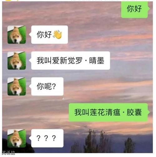 和相亲对象的聊天