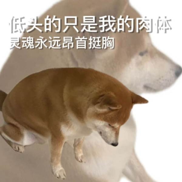 轻松一刻:年少不知家里好,非要在外面洗jio! 轻松一刻:年少不知家里好,非要在外面洗jio!