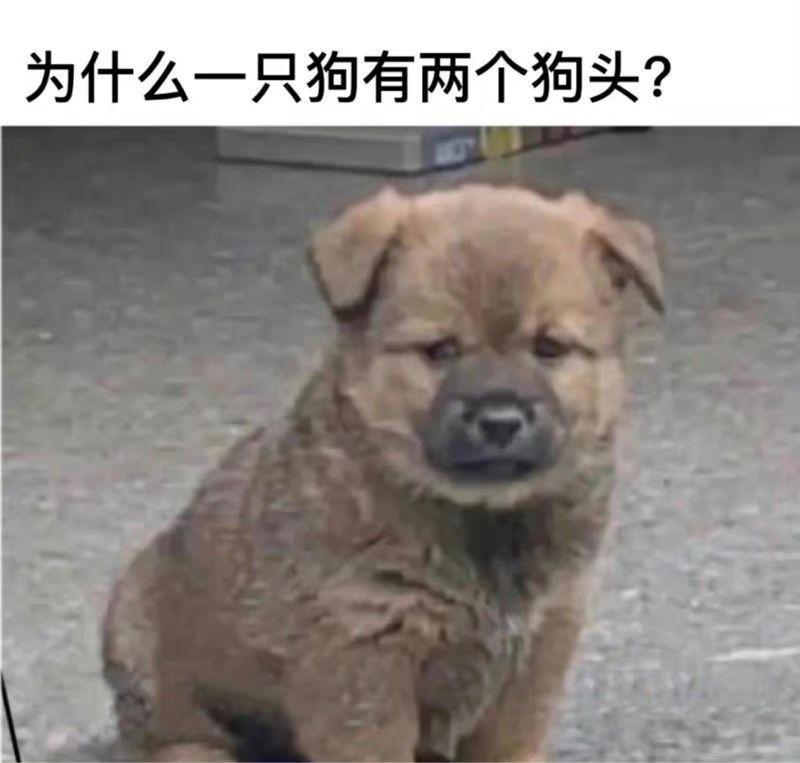 搞笑图文合集2 搞笑图文合集2