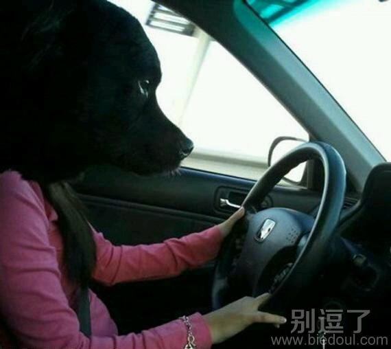 正在开车的司机。。 正在开车的司机。。