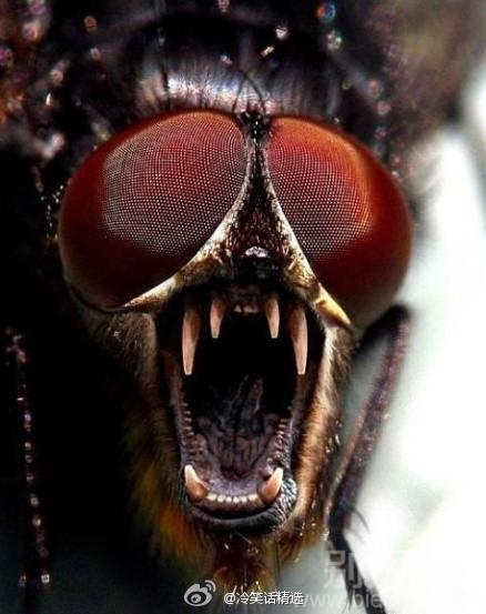 你妈 这纹身,密恐啊 你妈 这纹身,密恐啊