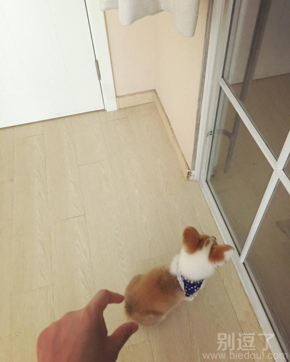 偷捏小屁屁 偷捏小屁屁