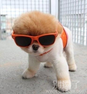 没钱了就来找我了 没钱了就来找我了