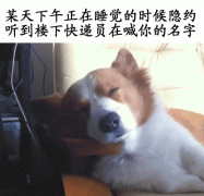 突然听到快递在叫