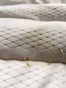 天潮的枕头都发芽了 天潮的枕头都发芽了