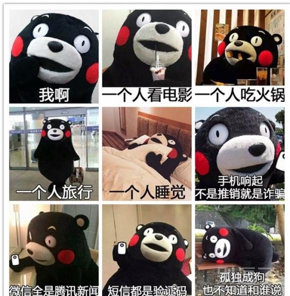 萌宠系列图：可怜的单身狗