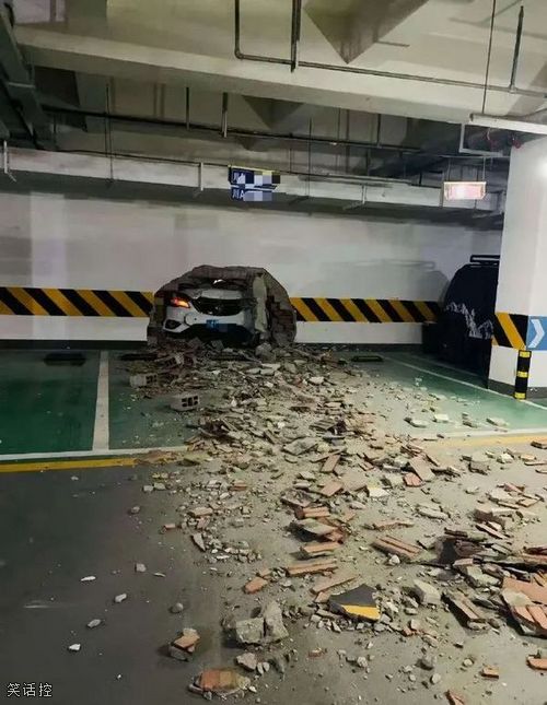 你就说我这车猛不猛吧