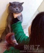 女侠先撒手，有话好好说！