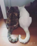 这被虐的防不胜防！！