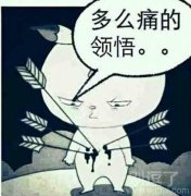 我不是放马的弼马温