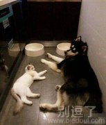 他俩就这样面对面一晚上了