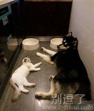 他俩就这样面对面一晚上了