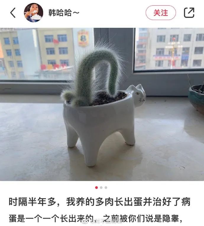 神图:你是不是以为自己很可爱? 神图:你是不是以为自己很可爱?