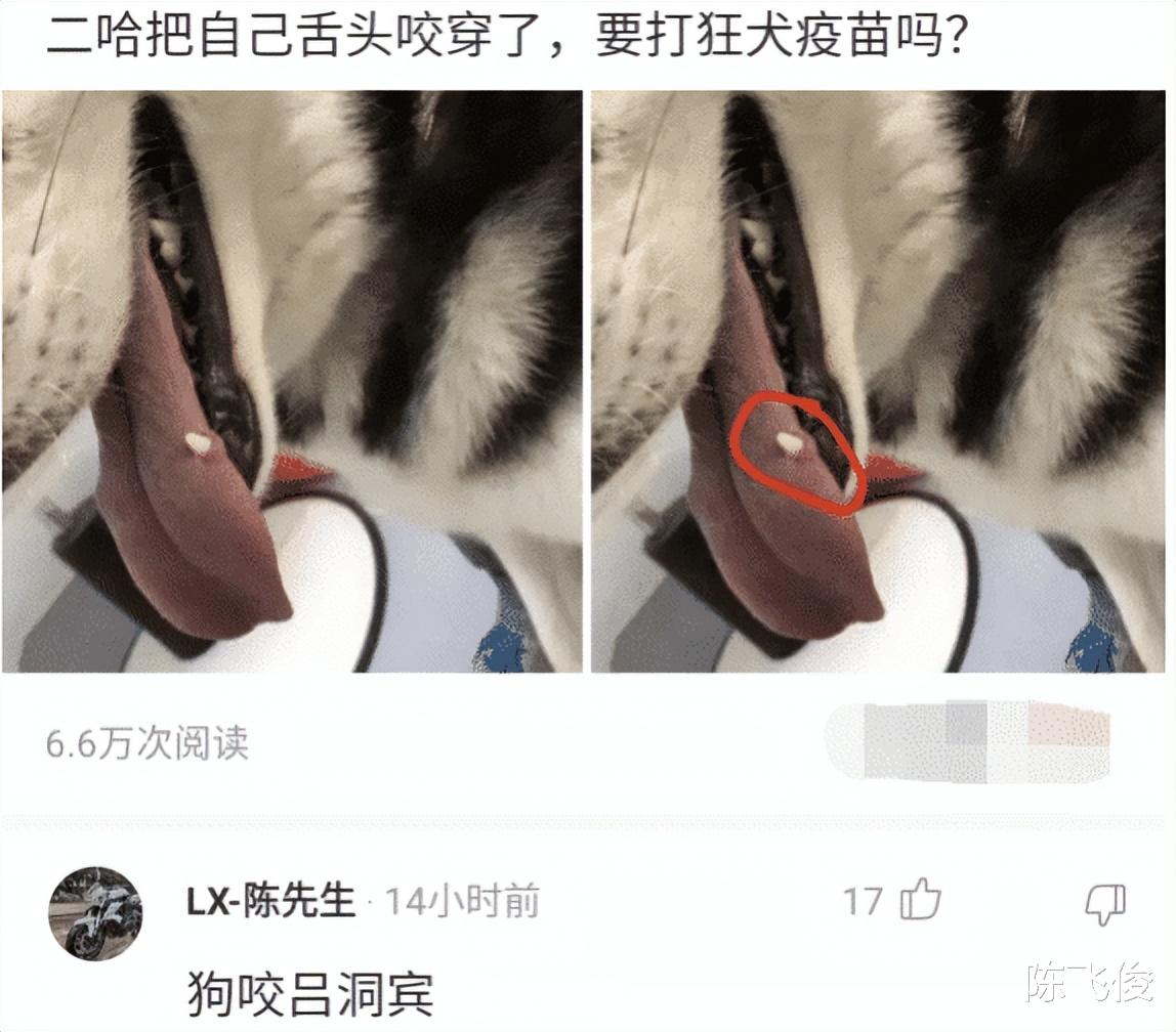 姑娘,穿裙子就不要逆光站了,小心亮点全被后面的大爷看到。 姑娘,穿裙子就不要逆光站了,小心亮点全被后面的大爷看到。