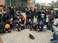 真是愚蠢的人类！