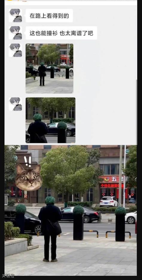 简直一毛一样 简直一毛一样