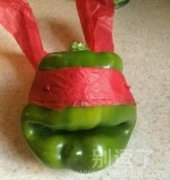 即将出嫁的小辣椒。 即将出嫁的小辣椒。