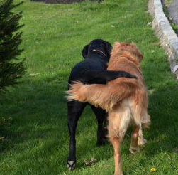 哥俩好啊～一杯酒呀